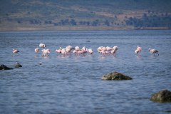 TanzanieUganda_0164_web