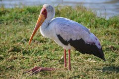 TanzanieUganda_0165_web