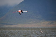 TanzanieUganda_0168_web
