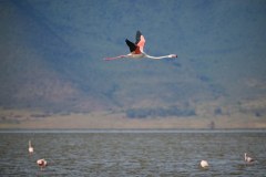 TanzanieUganda_0169_web