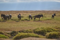 TanzanieUganda_0170_web