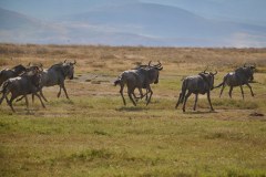 TanzanieUganda_0171_web