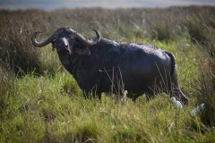 TanzanieUganda_0172_web
