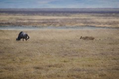 TanzanieUganda_0173_web