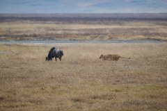 TanzanieUganda_0174_web