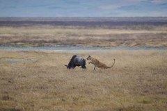 TanzanieUganda_0175_web