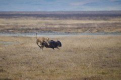 TanzanieUganda_0176_web