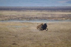 TanzanieUganda_0177_web