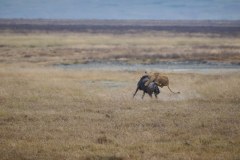 TanzanieUganda_0178_web