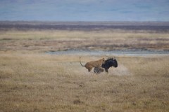 TanzanieUganda_0179_web