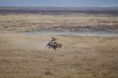 TanzanieUganda_0180_web
