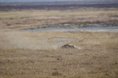 TanzanieUganda_0181_web
