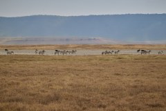 TanzanieUganda_0182_web