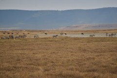 TanzanieUganda_0183_web