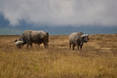 TanzanieUganda_0184_web