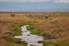 TanzanieUganda_0185_web