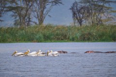 TanzanieUganda_0186_web