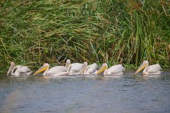TanzanieUganda_0187_web