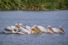 TanzanieUganda_0188_web