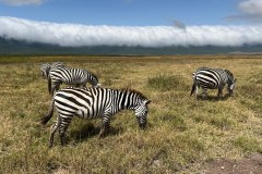 TanzanieUganda_0191_web
