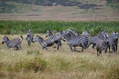 TanzanieUganda_0192_web