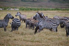 TanzanieUganda_0193_web