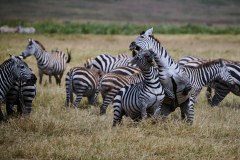 TanzanieUganda_0194_web