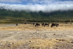 TanzanieUganda_0195_web
