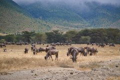 TanzanieUganda_0196_web