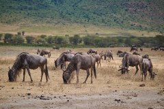 TanzanieUganda_0197_web