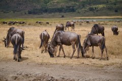 TanzanieUganda_0198_web