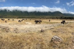 TanzanieUganda_0199_web