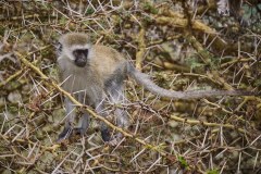 TanzanieUganda_0200_web