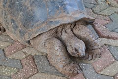 TanzanieUganda_0225_web