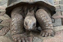 TanzanieUganda_0226_web