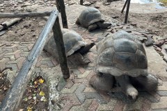 TanzanieUganda_0227_web