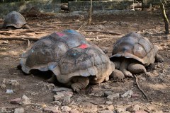 TanzanieUganda_0229_web