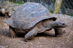 TanzanieUganda_0230_web