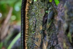 TanzanieUganda_0238_web