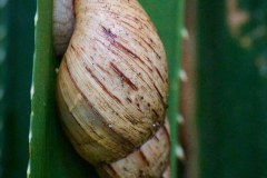 TanzanieUganda_0239_web