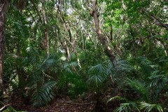 TanzanieUganda_0240_web
