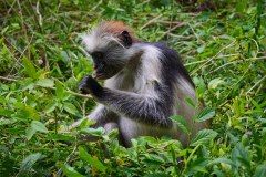 TanzanieUganda_0241_web
