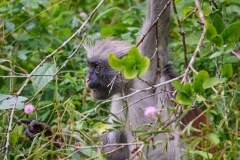 TanzanieUganda_0243_web