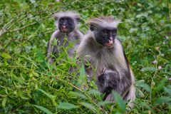 TanzanieUganda_0244_web
