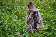 TanzanieUganda_0245_web