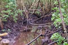 TanzanieUganda_0247_web
