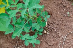 TanzanieUganda_0248_web