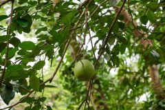 TanzanieUganda_0250_web