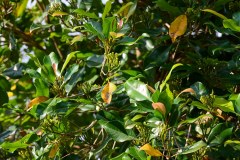 TanzanieUganda_0253_web