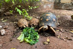 TanzanieUganda_0259_web